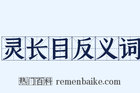 灵长目反义词是什么意思的图片